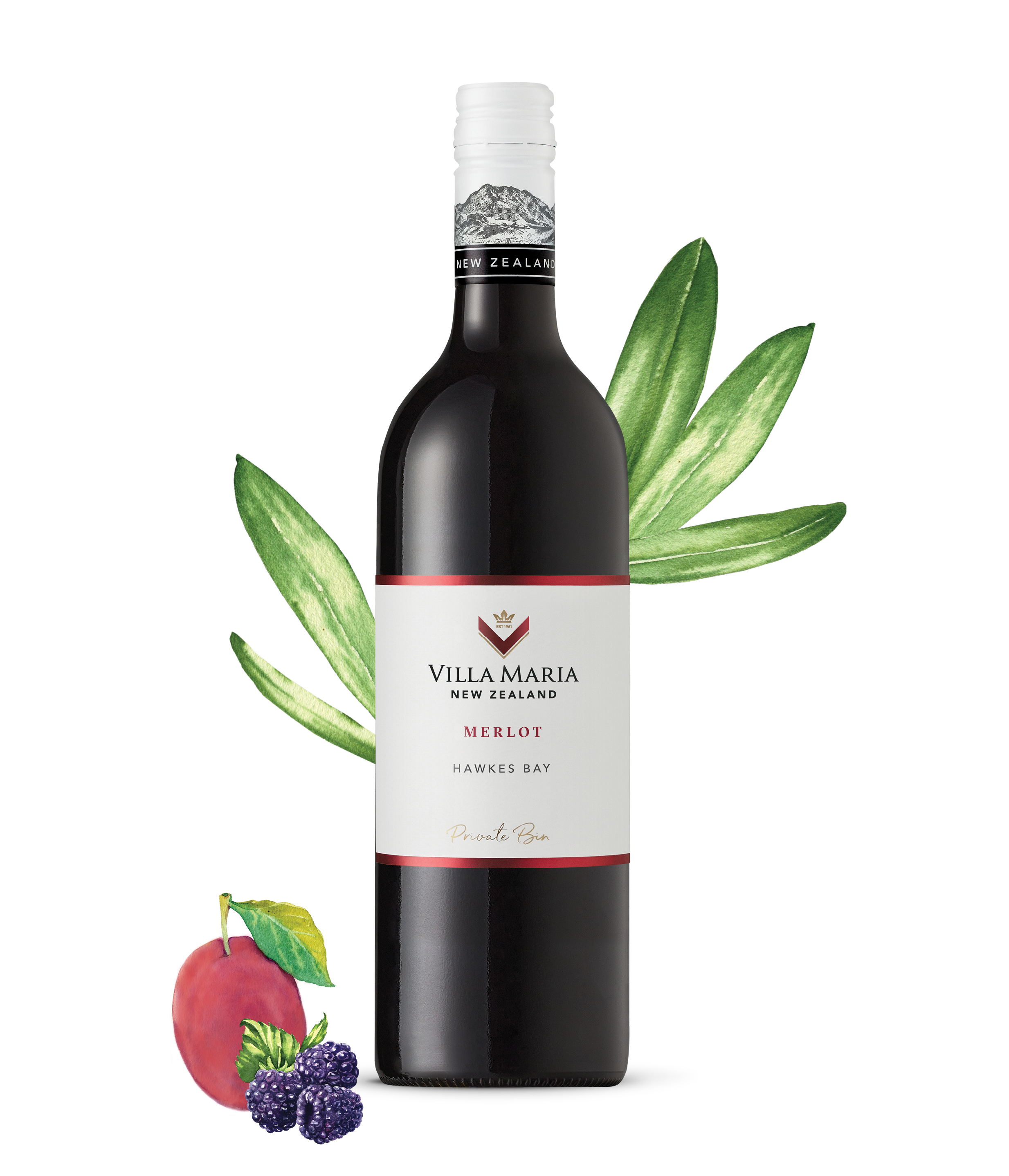 Merlot