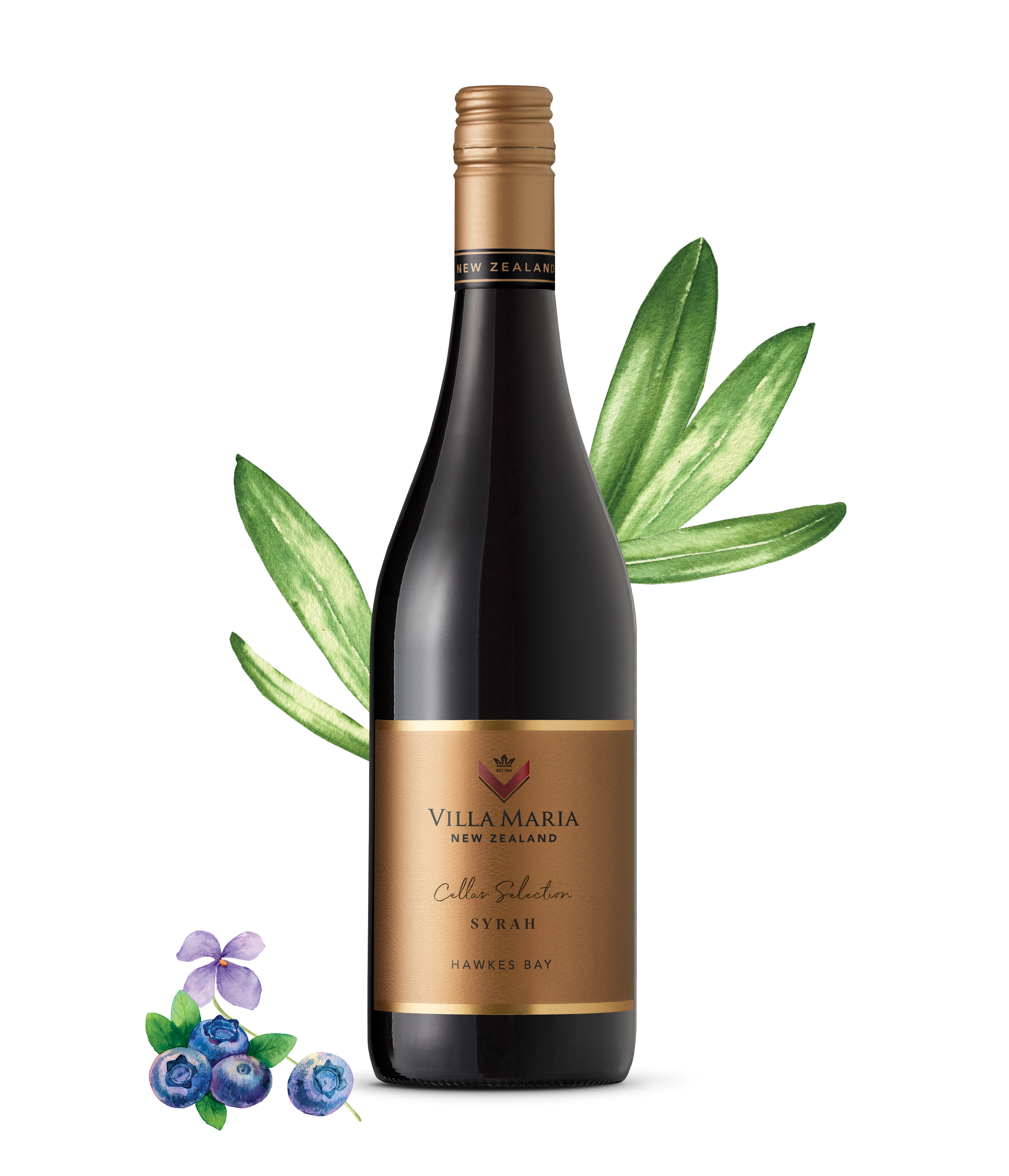 Syrah