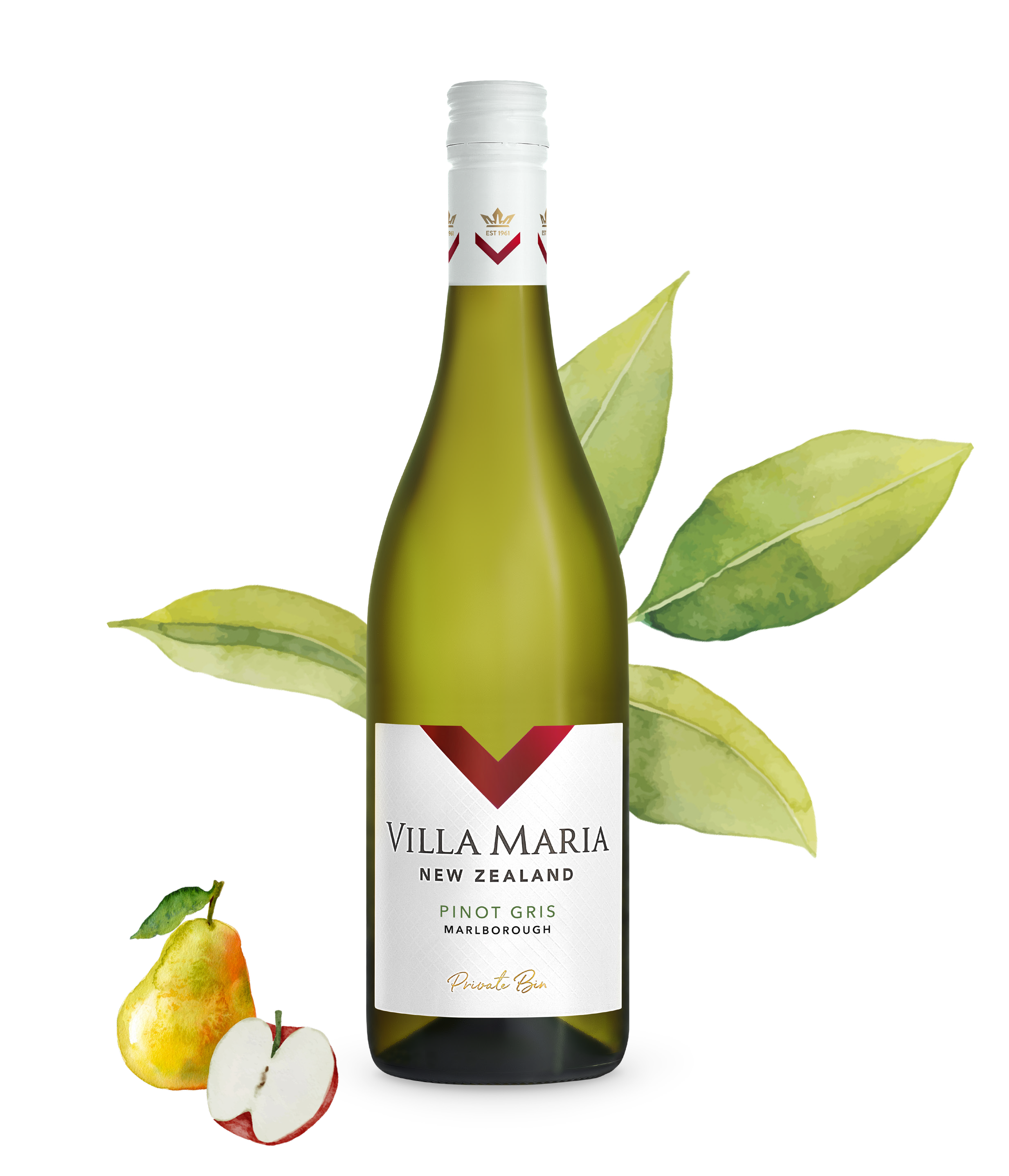 Pinot Gris